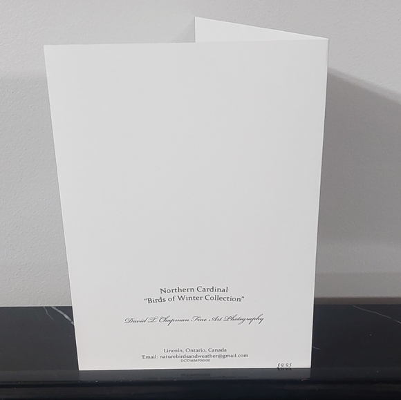 Northern Cardinal Matte Finish 5" x 7" Blank Photo Card - Picture 2 of 2